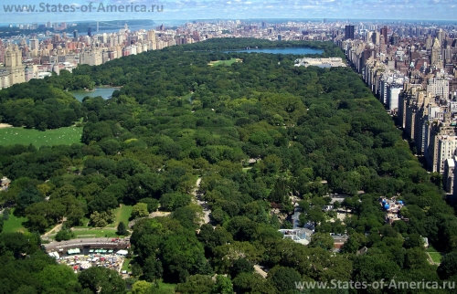 Вид на Центральный парк Нью-Йорка